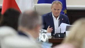 Miniatura: Żółte opaski dla pisowców? Publicysta...