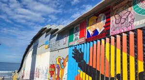 Miniatura: "Kojot" na granicy śmierci