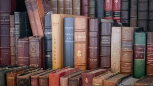 Miniatura: QUIZ: Dziś Święto Książki. Inspirujący...