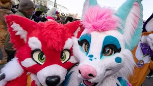 Miniatura: Troska, nie aprobata. Anglia: Raport o...