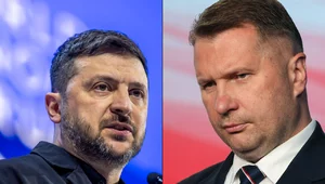 Miniatura: Czarnek wskazuje: Oto prawdziwy powód...