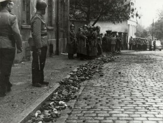 Wydarzenia Zielonogórskie 1960 roku - protesty tłumione przez milicję i ZOMO