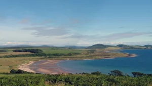 Miniatura: Hańba polska