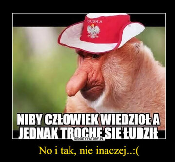 Euro 2020: Mecz Polska - Szwecja. MEMY 