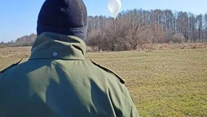 Miniatura: Białoruski balon wleciał do Polski. Nowe...