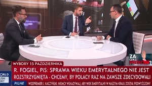 Miniatura: "Styl buraka pastewnego", "pseudopolityk"....