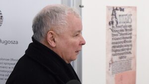 Miniatura: Cel: Kaczyński