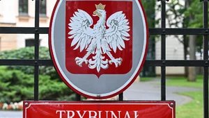 Miniatura: Berek ma pomóc przejąć Trybunał? W tle...
