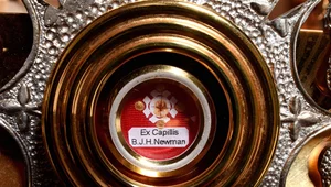 Miniatura: Wiązanka dla Franciszka