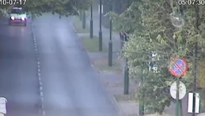 Miniatura: Sprawa Iwony Wieczorek. Policja...