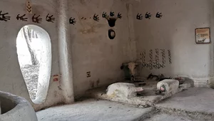 Miniatura: Çatalhöyük. Czy patriarchat był...