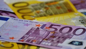 Miniatura: Euro w Polsce? Być może