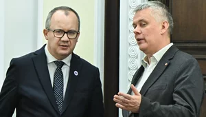 Miniatura: Powstaje kolejna rządowa komisja do...