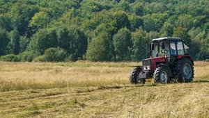 Miniatura: Przewrót Zielonego Ładu. Kto jest...