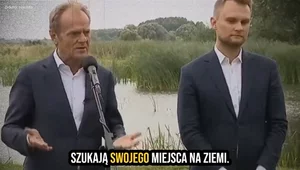 Miniatura: PiS uderza spotem w Tuska. i...