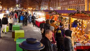 Miniatura: "Zagadkowa sprawa". Jak mniszki...