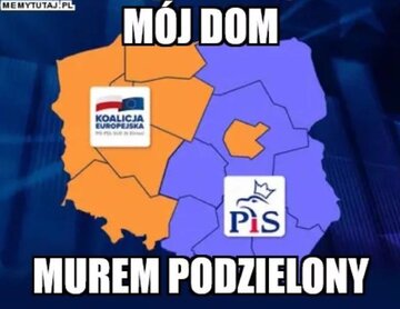 Memy po wyborach do Parlamentu Europejskiego 