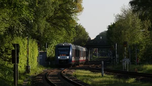 Miniatura: Iracki imigrant wepchnął 16-letnią...