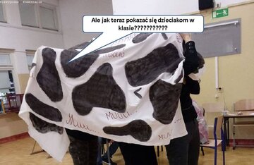 Strajk nauczycieli - memy 