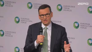 Miniatura: Morawiecki: Zagłosujemy za projektem PSL