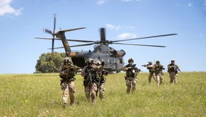 Miniatura: Niemcy przygotowują się do konfliktu z...