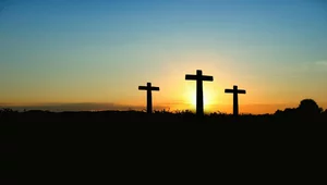 Miniatura: Badanie: Coraz mniej państw z...