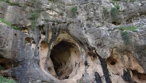 Miniatura: Najstarszy dowód krzyżowania Homo sapiens...