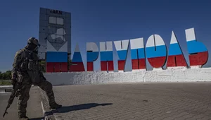 Miniatura: Okupacja, czyli nowe życie