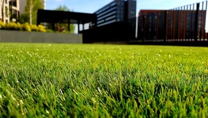 Miniatura: Nowoczesne kosiarki spalinowe – jak wybrać...