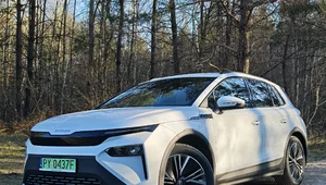 Miniatura: Škoda Elroq 60