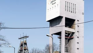 Miniatura: Miliony złotych do ZUS mogą poczekać....