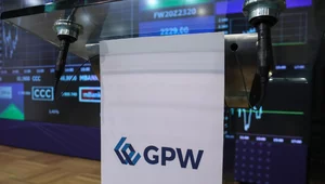 Miniatura: Polscy Buffettowie?