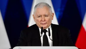 Miniatura: "Antyniemiecka fobia". Szokujący sondaż...