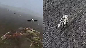 Miniatura: Wojna na Ukrainie. Rosjanie przeprowadzili...