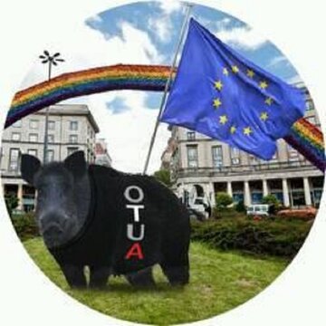 Internet oszalał na punkcie dzików 