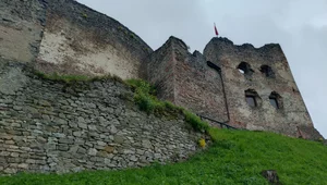 Miniatura: Straszny koniec buntowników. Król nie miał...
