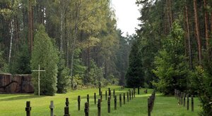 Miniatura: Powrót fałszerzy historii