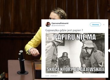 Posłanka Platformy bohaterką memów 