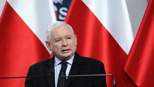 Miniatura: PiS dominuje. Opozycja bez szans