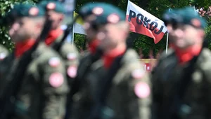 Miniatura: Gotowość do bicia piany