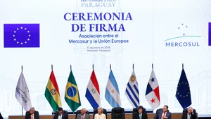 Miniatura: Neoliberalizm w domu i zagrodzie