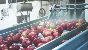 Miniatura: Polska żywność to najlepszy wybór! Jakich...