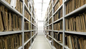 Miniatura: Co jest w archiwach