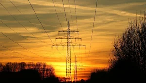 Miniatura: Nowa strategia Polskich Sieci...