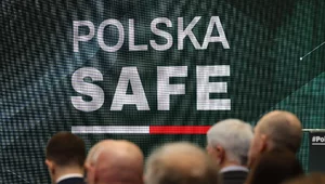 Miniatura: Awantura o pożyczkę SAFE. "Dzieci...