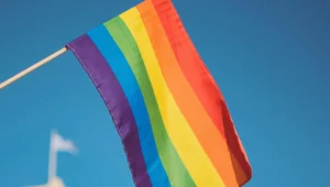 Miniatura: Olśniewająca dekonstrukcja