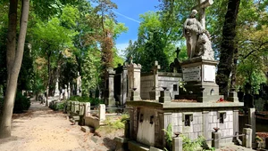 Miniatura: Ponad 230 lat Powązek. Jak powstała...