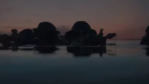 Miniatura: Bezradność