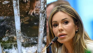 Miniatura: Z Dodą na lodówce