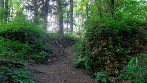 Miniatura: Siała postrach na średniowiecznych...